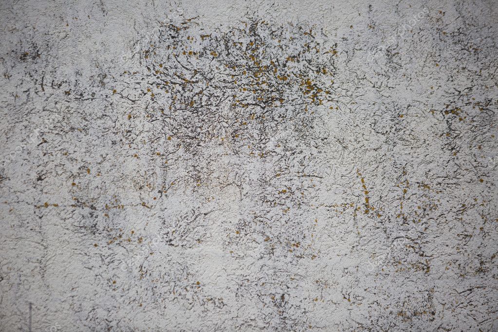 Grunge Concrete Wall Texture Stock Photo Image By C Medoolees