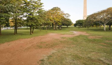 Yaz arkaplanı için güneşli bir günde yeşil ağaçlı güzel doğal manzara. Ağaçlı çim tarlası ve çevre parkı.