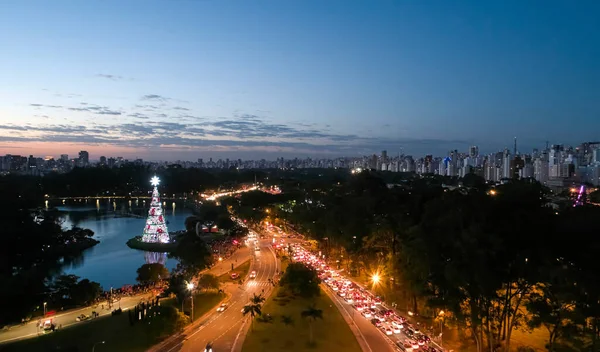 サンパウロ市とIbirapuera公園の伝統的なクリスマスツリーの空中ビュー ブラジル サンパウロ市のイビラプエラ公園の木と緑のエリアを持つ環境保全地域 — ストック写真