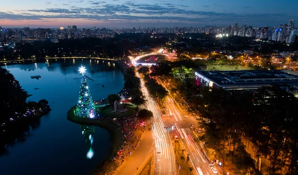 圣保罗城市的空中景观和Ibirapuera公园的传统圣诞树 巴西圣保罗市Ibirapuera公园有树木和绿地的环境保护区 — 图库照片