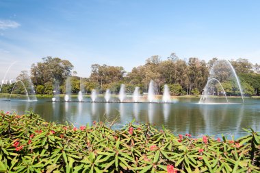 Sao Paulo 'daki Ibirapuera Parkı