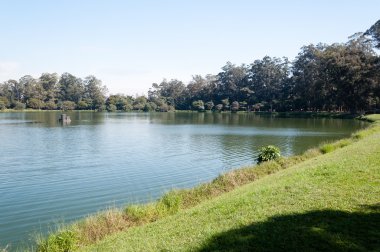 Sao Paulo 'daki Ibirapuera Parkı