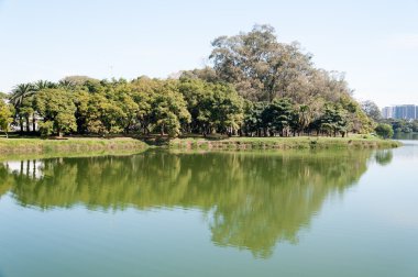Sao Paulo 'daki Ibirapuera Parkı