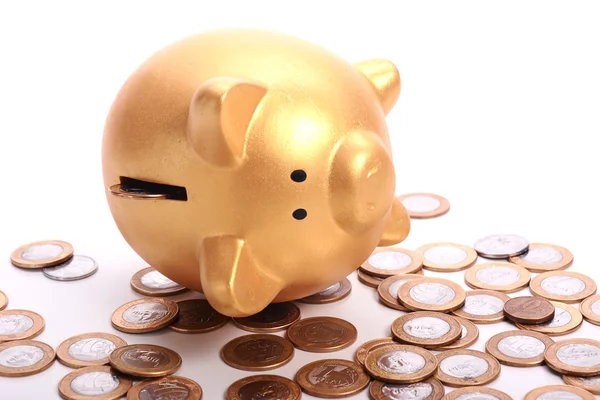 Hucha dorada con ahorros en monedas — Foto de Stock