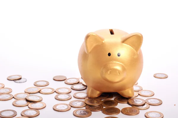 Hucha dorada con ahorros en monedas — Foto de Stock