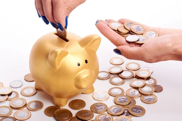 Woman's hand putting coins  Brazilian money into piggy bank — Stock Photo, Image