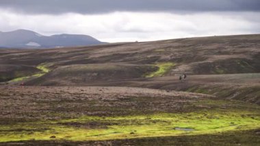 Buzullu, tepeli ve yeşil yosunlu güzel bir manzara. Fimmvorduhals yolu üzerinde. Landmannalaugar yakınlarında yaz güneşli bir gün, İzlanda.