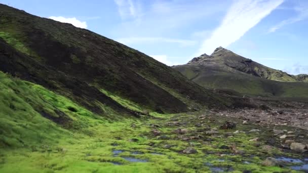 Зелёное поле с мамбелем и горной вершиной на туристической тропе Лаугавегур, Исландия — стоковое видео