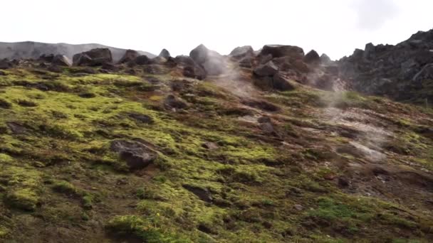 Kurbağa, buzullar, tepeler ve yeşil yosunlarla dolu volkanik bir arazi. Fimmvorduhals yolu üzerinde. Landmannalaugar yakınlarında yaz güneşli bir gün, İzlanda. — Stok video