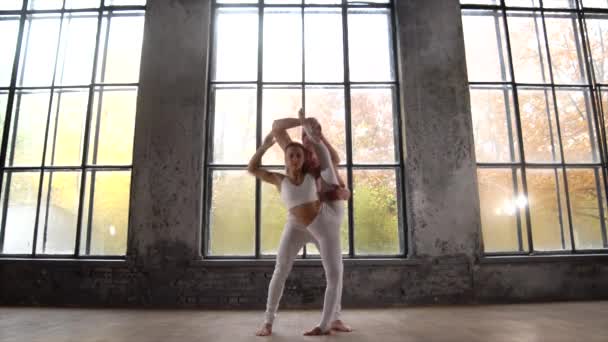 Bailarinas femeninas y masculinas haciendo pose con apoyo en el estudio. Concepto de confianza, apoyo y cuidado en la relación — Vídeos de Stock