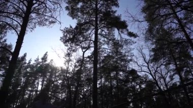 Adam atlıyor ve ağır çekimde ip ip üzerinde numaralar yapıyor. 