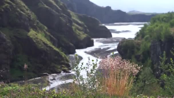 Vue sur la rivière et la vallée avec herbe braun sur le sentier de randonnée Laugavegur. Islande — Video