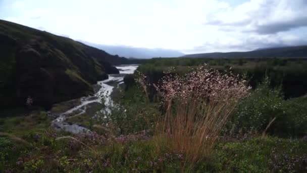 Vista sul fiume e sulla valle con erba braun sul sentiero escursionistico Laugavegur. Paesi Bassi — Video Stock