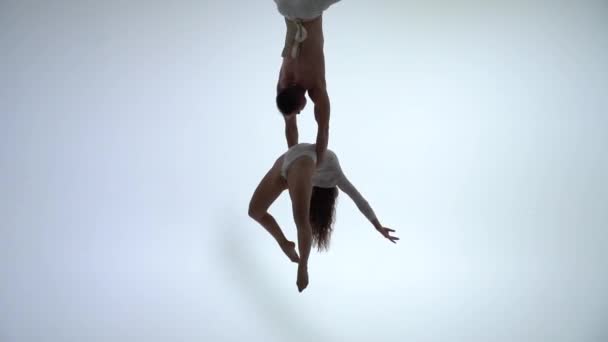 Aerial straps duo wearing white costume on white background doing performance. Concept of romantic couple — Stock Video