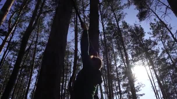 Man aan het trainen op de horizontale balk in het bos. Gezonde levensstijl — Stockvideo