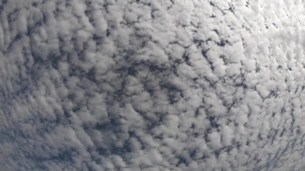 Timelapse λευκά πυκνά σύννεφα στον γαλάζιο ουρανό — Αρχείο Βίντεο