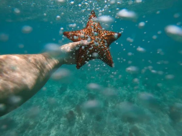 Hand of snorkeler holds starfish underwater with bubbles foreground. concept of vacation and travel — Stock Photo, Image