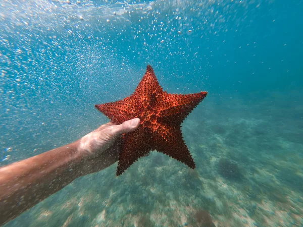 Рука снорклера тримає під водою морську зірку з бульбашками на передньому плані. концепція відпустки та подорожей — стокове фото