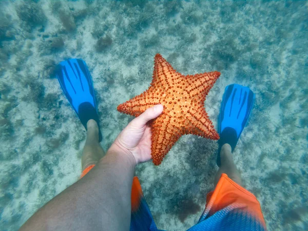 Рука снорклера тримає під водою морську зірку з лапками на фоні. концепція подорожей і пригод — стокове фото