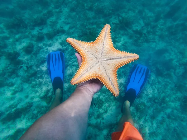 Рука снорклера тримає під водою морську зірку з лапками на фоні. концепція подорожей і пригод — стокове фото