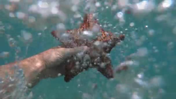 Mano de snorkeler sosteniendo estrellas de mar bajo el agua con muchas burbujas en cámara lenta. concepto de viajes y aventuras — Vídeos de Stock