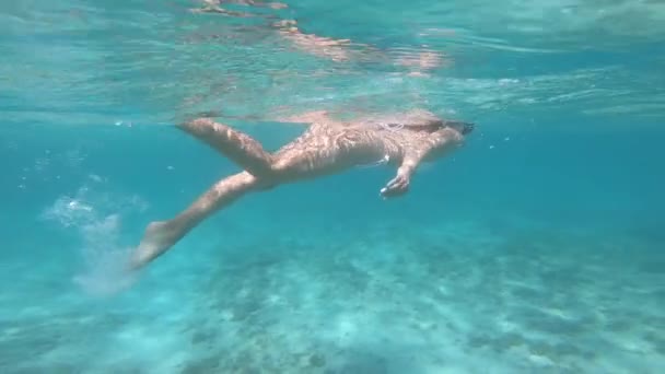 Egy nő úszik a víz alatt. Fogalom az egészséges életmód és a szabadidő. Víz alatti kamerával készült. — Stock videók