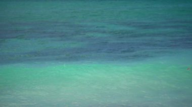 Turkuaz dalgalı berrak deniz suyu yavaş çekimde gelir. 
