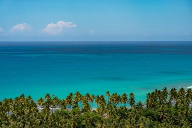 Gökyüzünün yatay çizgileri, mavi deniz suyu ve kopyalanmış palmiye sıraları. Kopyalama alanı olan arkaplan resmi 