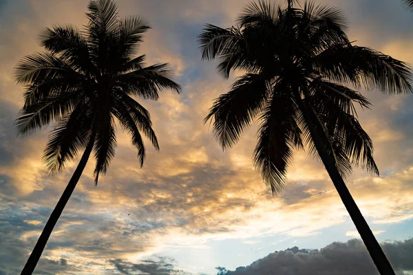 Tropikalny zachód słońca z sylwetką palmy z dramatycznymi chmurami. Pojęcie urlopu i podróży. — Zdjęcie stockowe
