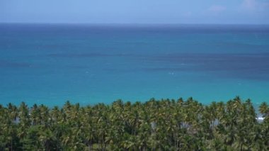 Yatay gökyüzü çizgileri, mavi deniz suyu ve sıra sıra palmiyeler. Tatil ve seyahat kavramı