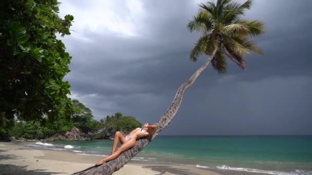 Jonge sexy vrouw in een bikini liggend op palmboom op de stormachtige lucht achtergrond. Begrip bestemming en reis — Stockvideo