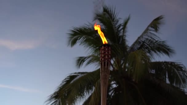 Пламя формирует факел тики на закате солнца с силуэтом пальмы в замедленной съемке. Концепция отпуска и путешествия. — стоковое видео