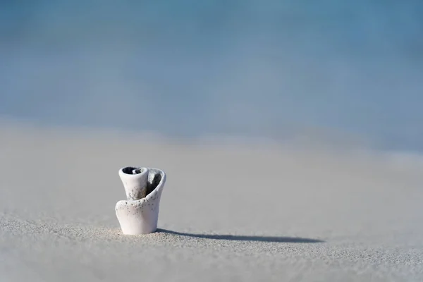 Onda vem a concha na praia de areia branca em câmera lenta. Conceito de férias e viagens — Fotografia de Stock