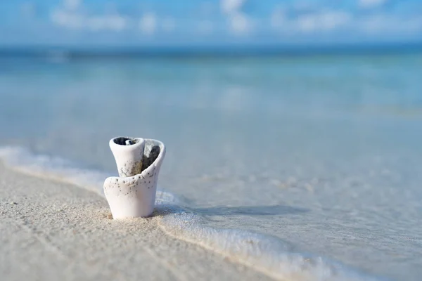 Pequeña concha marina en la playa de arena blanca y el mar cristalino. Concepto de vacaciones y viajes — Foto de Stock