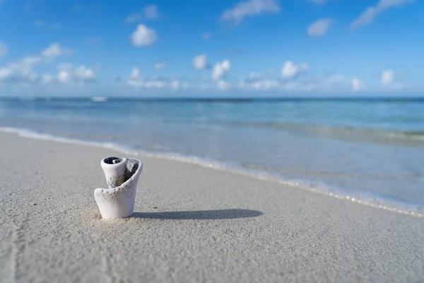Apró kagyló a fehér homokos parton, kék ég és másolás helyet. Nyaralás és utazás koncepciója — Stock Fotó