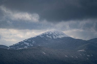 Fırtınalı havada ormanla kaplı karlı dağ zirvesi. Seyahat ve macera konsepti