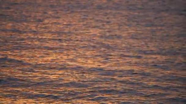 Das wogende Wasser des Meeres während des Sonnenuntergangs. Urlaubs- und Reisekonzept — Stockvideo