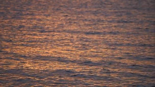 Welliges Wasser des Meeres während des Sonnenuntergangs in Zeitlupe. Urlaubs- und Reisekonzept — Stockvideo