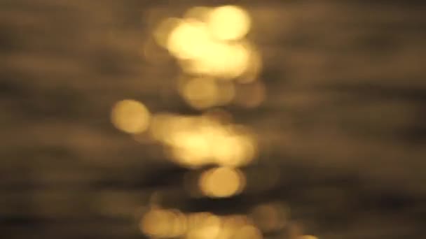 Ніжна золота текстура боке відблисків на воді під час заходу сонця та світанку у повільному русі — стокове відео