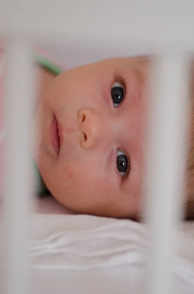 Baby in a cot Stock Picture