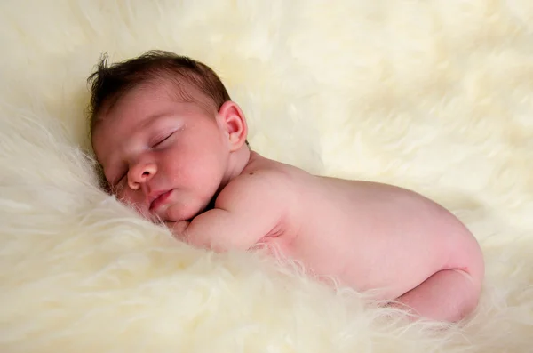 Bebé recién nacido durmiendo — Foto de Stock