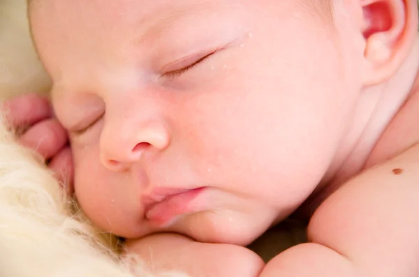 Bebé recién nacido durmiendo — Foto de Stock