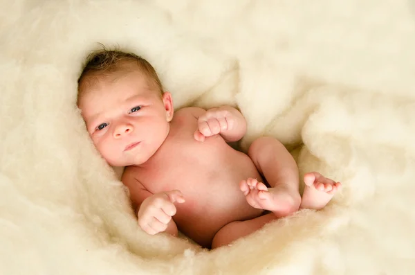 Bebé recién nacido durmiendo — Foto de Stock