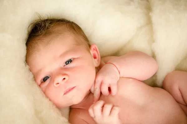 Yeni doğan bebek uyku — Stok fotoğraf