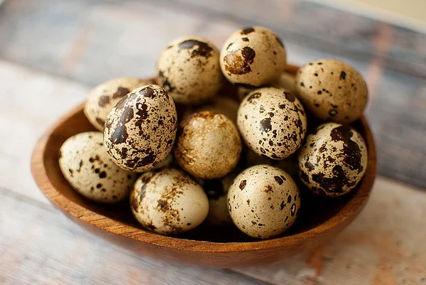 Huevos de codorniz — Foto de Stock