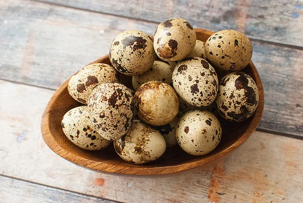 Huevos de codorniz — Foto de Stock