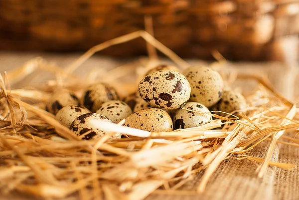 Huevos de codorniz —  Fotos de Stock