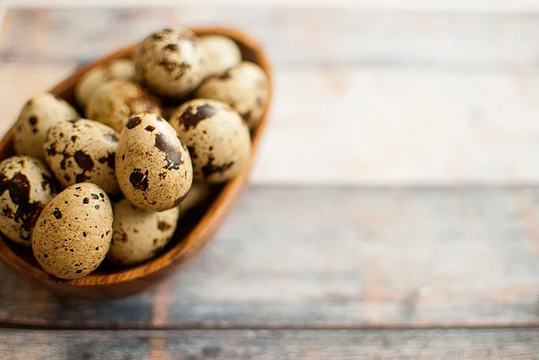 Huevos frescos de codorniz — Foto de Stock