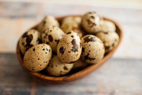 Taze bıldırcın yumurtası — Stok fotoğraf