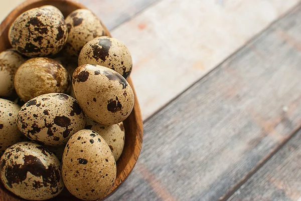 Taze bıldırcın yumurtası — Stok fotoğraf